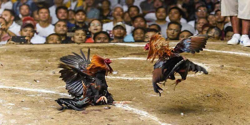 Những lưu ý nhận định phải biết