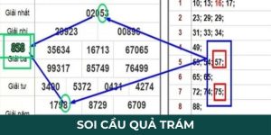 Chia sẻ bí kíp soi cầu quả trám từ các chuyên gia số học Bet88